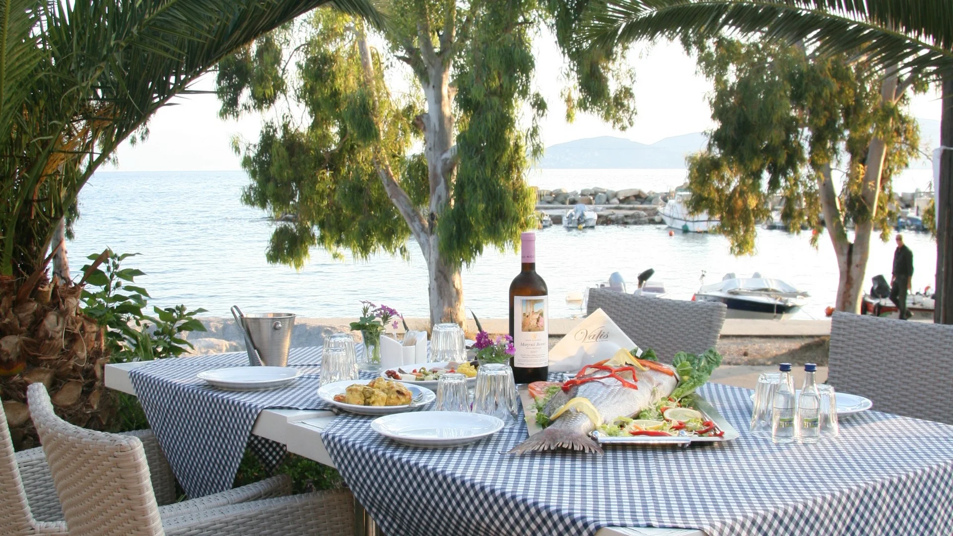 valis-resort-and-spa-volos-tsipouradiko