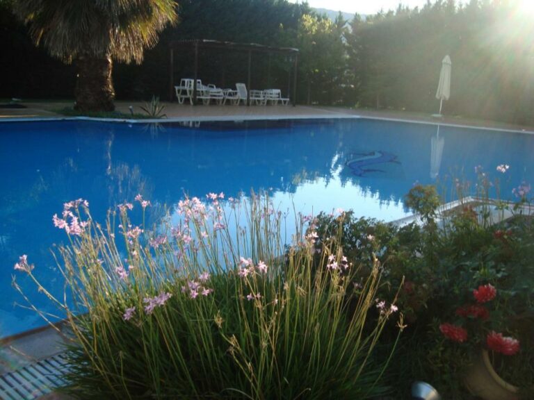 orfeas-hotel-kalampaka-pool