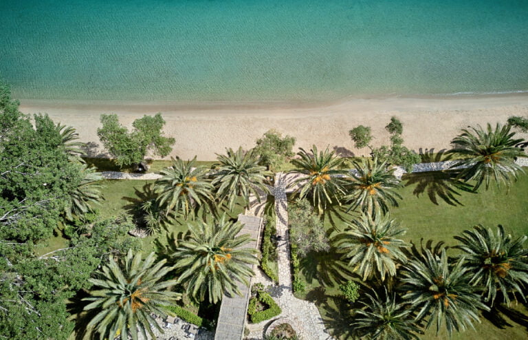 grecotel-lux-me-daphnila-corfu--palm-trees