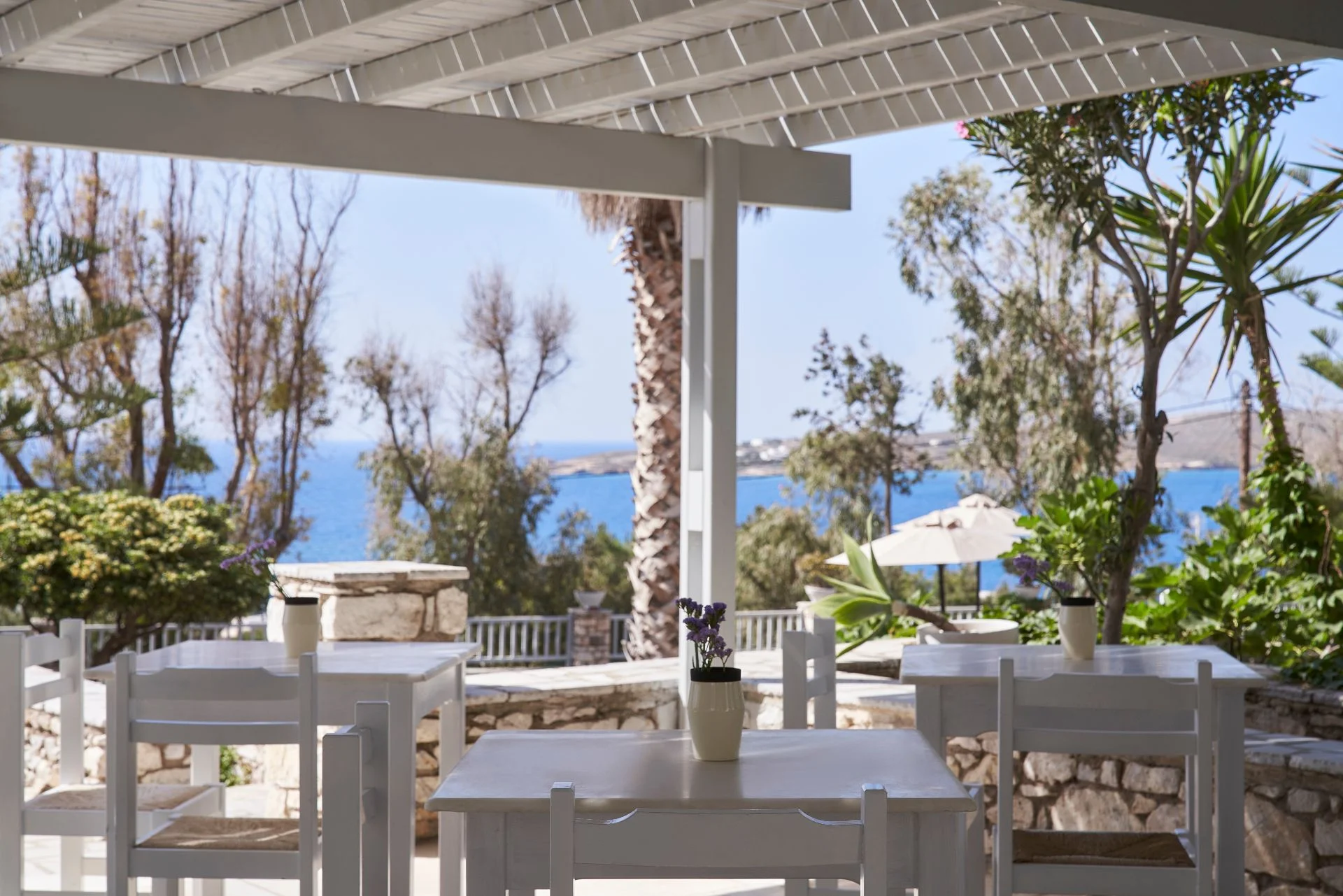 high-mill-paros-hotel-breakfast-area