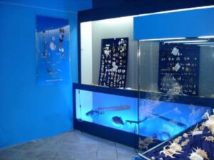 Μουσείο Θαλάσσιων Ευρημάτων “Ναυτίλος”