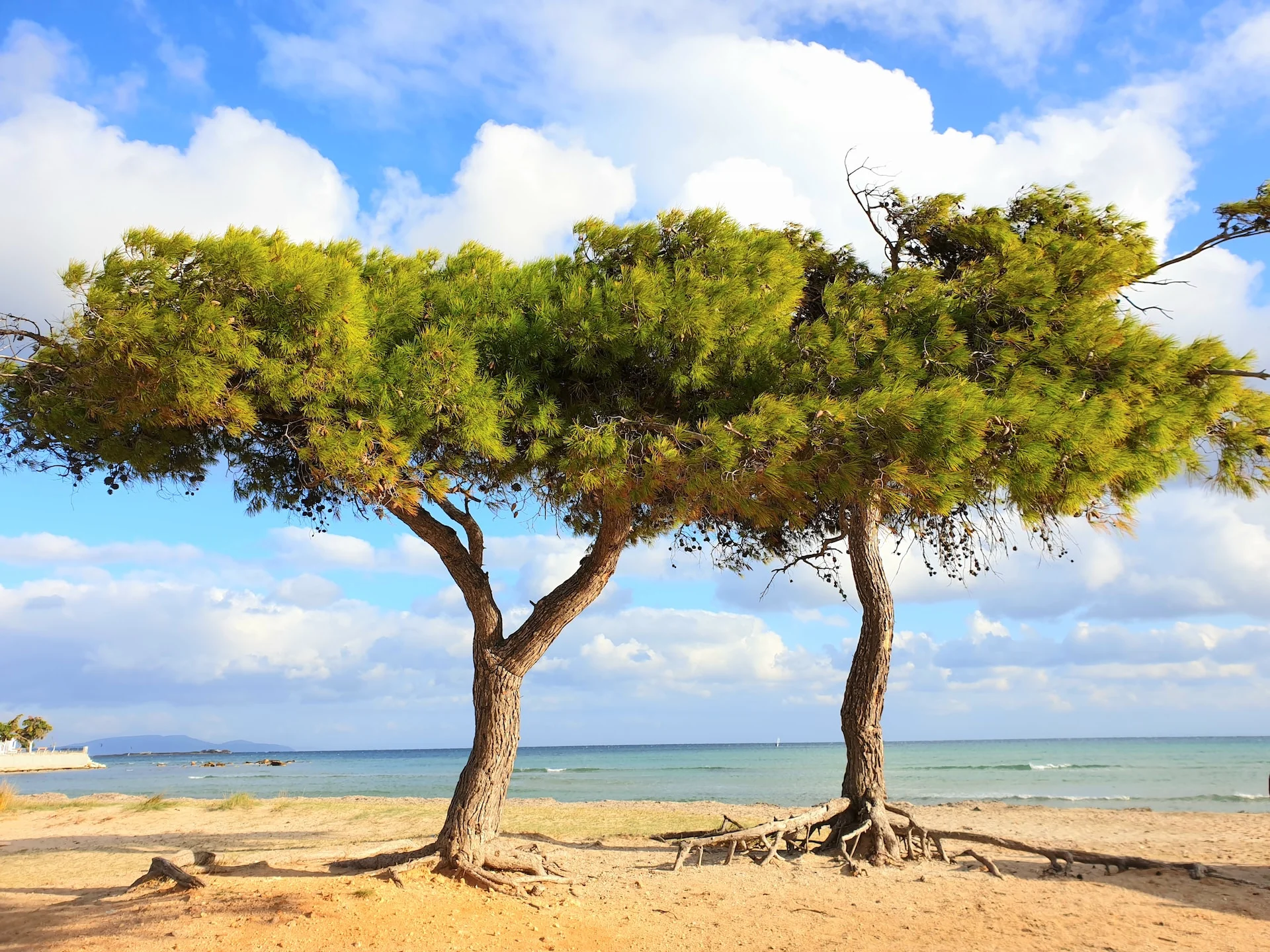 Παραλίες της Ανατολικής Αττικής: Ο Απόλυτος Οδηγός