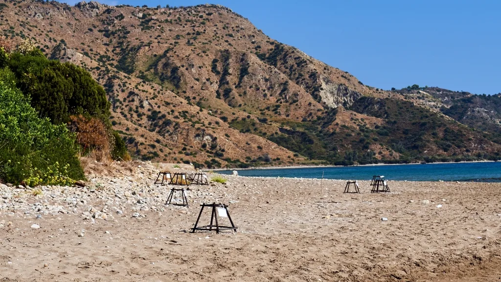 Δάφνη Παραλία Ζάκυνθος