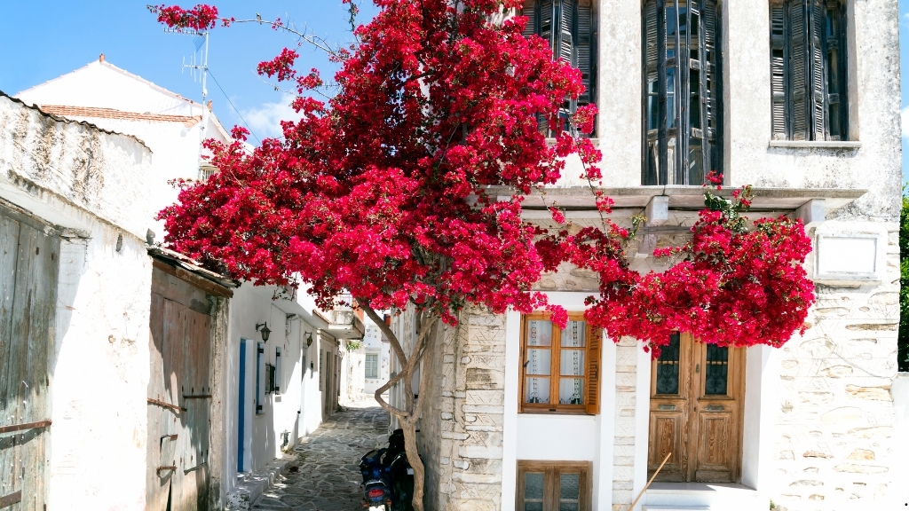 Πάρος Διακοπές με Παιδιά